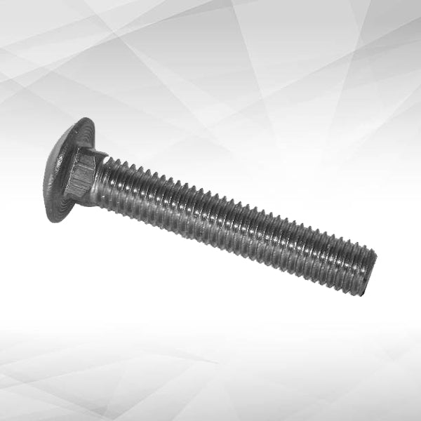 Carriage Bolts
