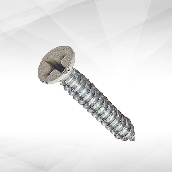 Phillips Flat Hinge Screw Twinfast