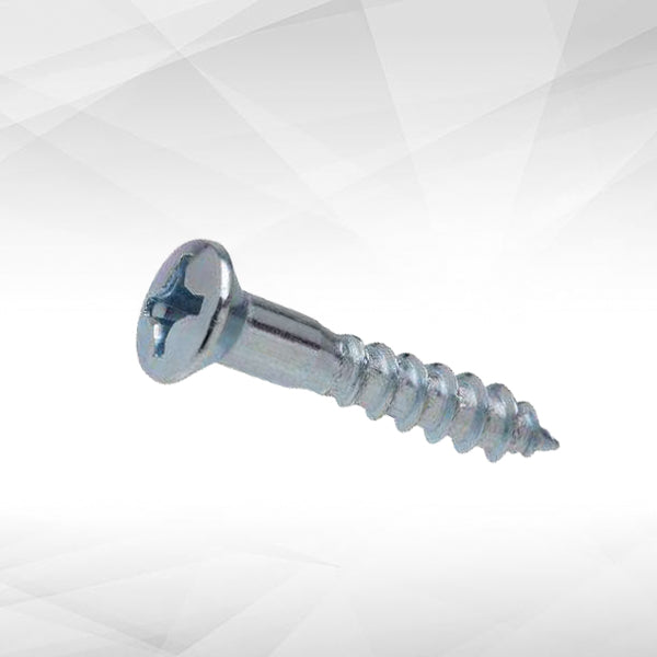 Phillips Oval Hing Screw Twinfast